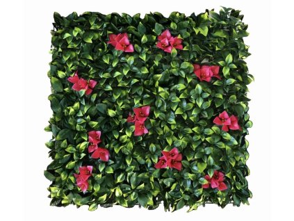 A8748C5D 9B2B 4570 A7E5 98ABC2CB6102 1 201 a