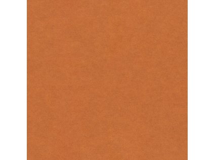 FORESCOLOR - Oranžová