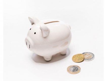 Pokladnička prasátko