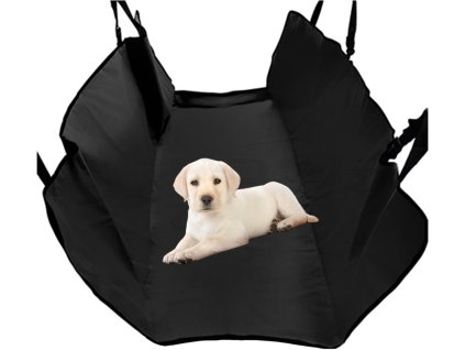 2897 5 deka do auta pet zoom loungee 1