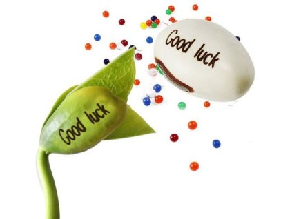 Kouzelná fazolka s nápisem (Fazolky I miss you)