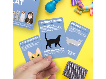 how to speak cat lifestyle v1 SQUARE