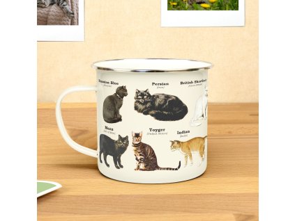 Cats Ecology Lifestyle Square V1