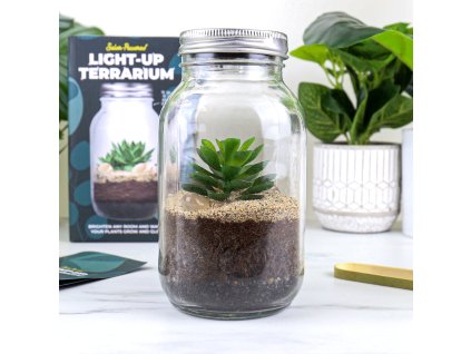 light up terrarium lifestyle v1