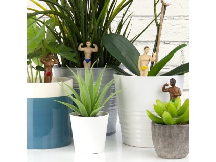 hunks planter slifestyle V1 square
