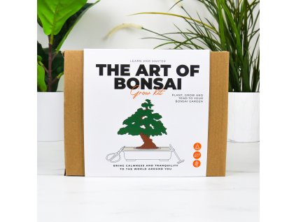 art of bonsai lifestyle v1