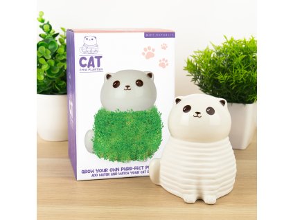 cat chia pet lifestyle v1