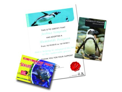 Adopt%20a%20Penguin%20after%20reg%20pic lg