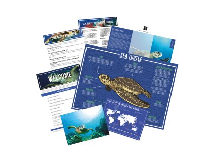 adopt a sea turtle product v1