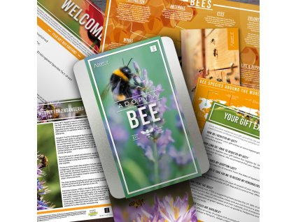 Adopt a bee lifestyle v1