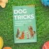 Dog Tricks lifestyle v2