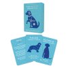 pawmistry dog cards Product%26Packaging V1