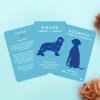 pawmistry dog cards Product V2