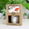 ecologie mushroom set lifestyle v2