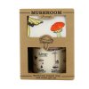 ecologie mushroom set packaging v1