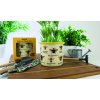Bee Enamel Plant Pot lifestyle%20V3 long