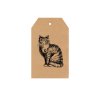 Cats Ecology Packaging Sqaure V1