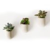 Concrete Planters Product square