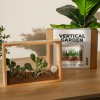 Vertical Garden DIY kit lifestyle v4