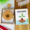 avocado grow kit lifestyle v2