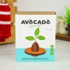 avocado grow kit lifestyle v3