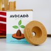 avocado grow kit lifestyle v4