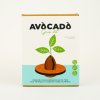 avocado grow kit packaging v1