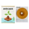 avocado grow kit product v2