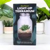 light up terrarium lifestyle v3