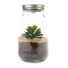 light up terrarium packaging v1%20copy