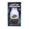 light up terrarium packaging v1
