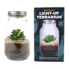 light up terrarium product v2