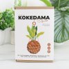 the art of kokedama packaging v1