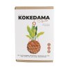 the art of kokedama packaging v2