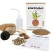 the art of kokedama product v2