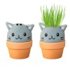 cat grow pal product v3