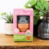 cat grow pal lifestyle v4