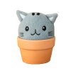 Cat Grow Pal Product v1