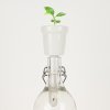 botanical bottles coffee v1