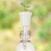 botanical bottles coffee lifestyle v1