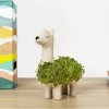llama planter lifestyle v3