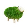 capybara chia planter product v3