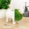 capybara chia pet lifestyle v5