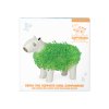 capybara chia pet packaging v1