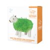 capybara chia pet packaging v2