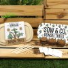 Sow%26Co BONSAI TREE Lifestyle SQAURE