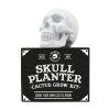 Skull Planter product%26Packaging v1
