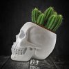 Skull Planter lifestyle v1