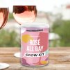 rose wine grow tin liftestyle square V1