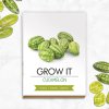 Cucamelon Grow It lifestyle v2